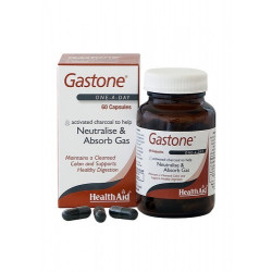 Gastone® 260mg 60 cáps. HealthAid