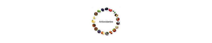 Antioxidantes y Formulaciones de antioxidantes Terranova